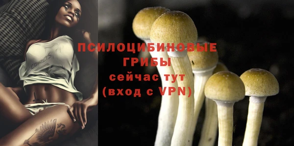 apvp Алексеевка